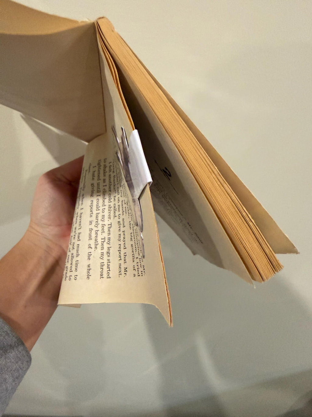 Custom Magnetic Bookmark – Personalized Gift for Book Lovers
