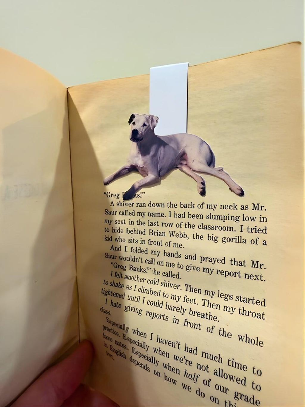 Custom Magnetic Bookmark – Personalized Gift for Book Lovers